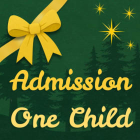 Single Day Admission - One Child item