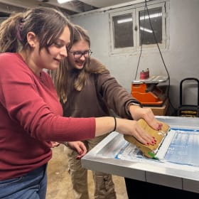 Child M T-shirt item