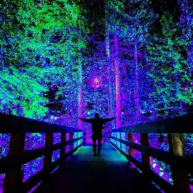 Vallea Lumina for 4 (Value: $200) item