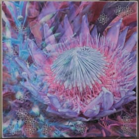 Protea by Shelley Ann Rothgeb item