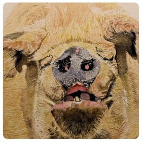 Karl the Magnificent item