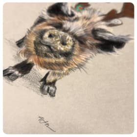 Holiday Boys | Hans & Petey item