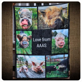 Love From AAAS – Custom Pig Portrait Blanket item