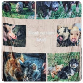 A Hug From Candy item