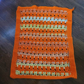 Crochet Cat Blanket and two Knitting Books item