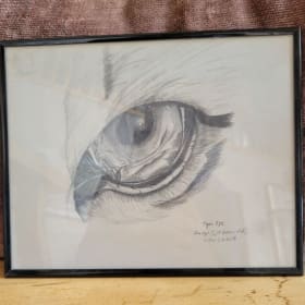 Tiger Eye - graphite by Aniq item
