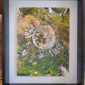 "Ground Cover with Petri Dish" - Susan Gold item