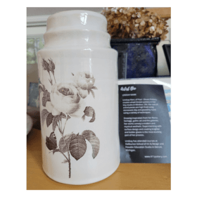 "Pottery Vase" - by Lindsay Marr item