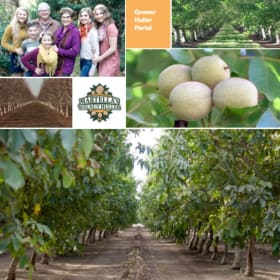 Ronald Martella Farms item