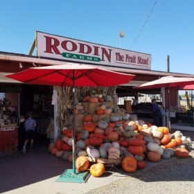 Rodin Farms item