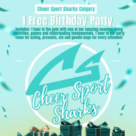 Birthday Party Package with Calgary Cheer Sharks item