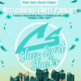 4 Weeks of Recreational Cheer or Tumbling item