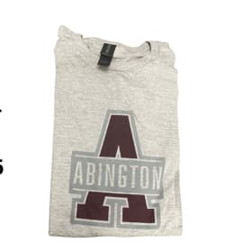 Big A T-Shirt-Gray (Large) item