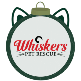 Prancer, Dancer & siblings (kittens) item