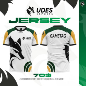 Jersey Esports item
