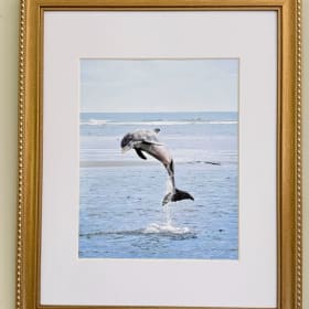 Your Choice of 1 beautifully framed photograph item