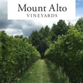 Tour & Tasting for 4 + Bottle of Wine at Mount Alto item