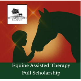 Full Equine Assisted Activity Scholarship item