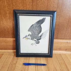 Eagle in Flight from Kalyn Murdock item