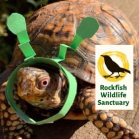 90m Private Tour of Rockfish Wildlife Sanctuary (up to 15 ) item