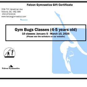 Falcon Gymnastics classes for ages 4-5 item