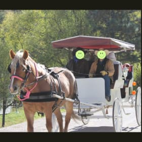 Carriage Ride with Blush item