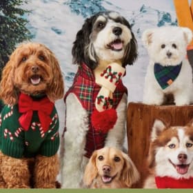 Bonejour Jax Gift Bag item