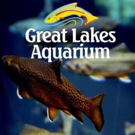 Animal Adventure Duluth Package item