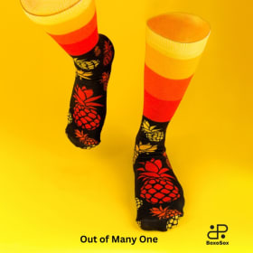 BoxoSox Single pair in a box (10-20 Count) item