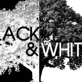 Black & White, the 12th Annual item