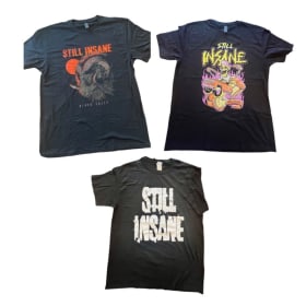 3 T-Shirts du band punk rock de Lévis Still Insane - 75$ item