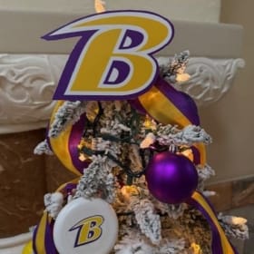 Bryan Built: Bryan Youth Activities Fund Tree #1 item