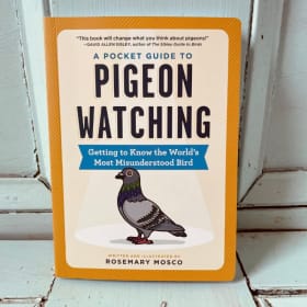Signed Copy of Pigeon Watching by Rosemary Mosco item