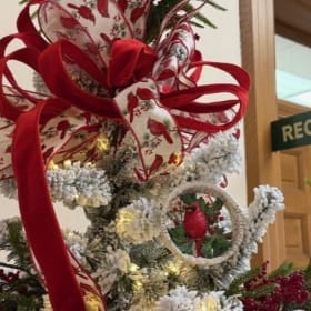 Cardinal Christmas: Bryan Beautification Fund item