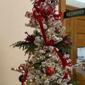 Cardinal Christmas: Bryan Beautification Fund item