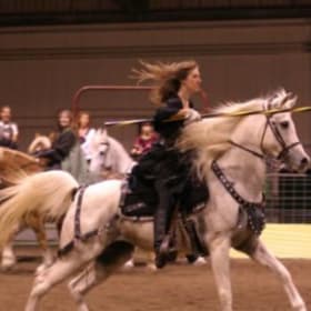 Knightly Ventures Sponsorship item