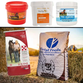 Horse FEED Bundle item