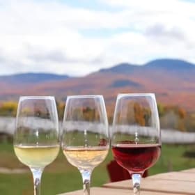 Dégustation vin item