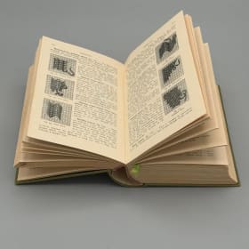 Encyclopedia of Needlework — TH. de Dillmont item