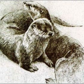 Robert Bateman – “Otter Pair” Lithograph item