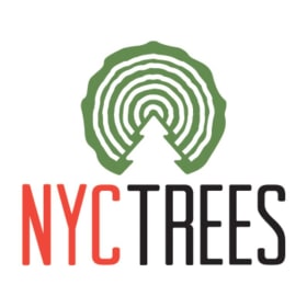 Fresh 6' Christmas Tree Delivery Package item