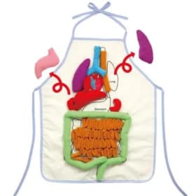 Anatomy Apron (Penguins) item