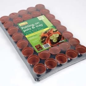 Potting Pots (Jellyfish & Stingrays) item