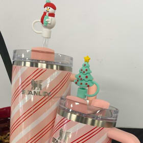 The Stanley Christmas Family item