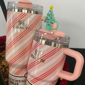 The Stanley Christmas Family item