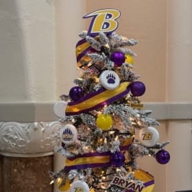 Bryan Built: Bryan Youth Activities Fund Tree #2 item