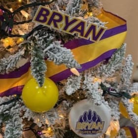 Bryan Built: Bryan Youth Activities Fund Tree #2 item