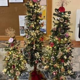 Garden Glory: Boyd Moore Memorial Fund Tree Set of 3 item