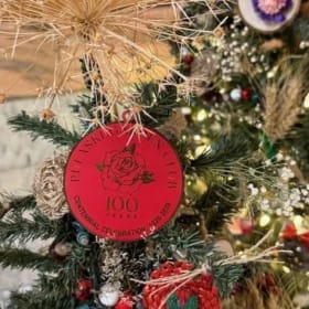 Garden Glory: Boyd Moore Memorial Fund Tree Set of 3 item