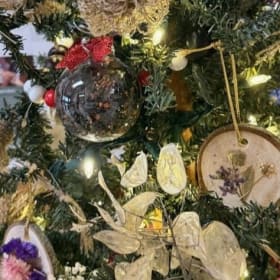 Garden Glory: Boyd Moore Memorial Fund Tree Set of 3 item